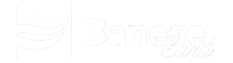 Logo banesecard